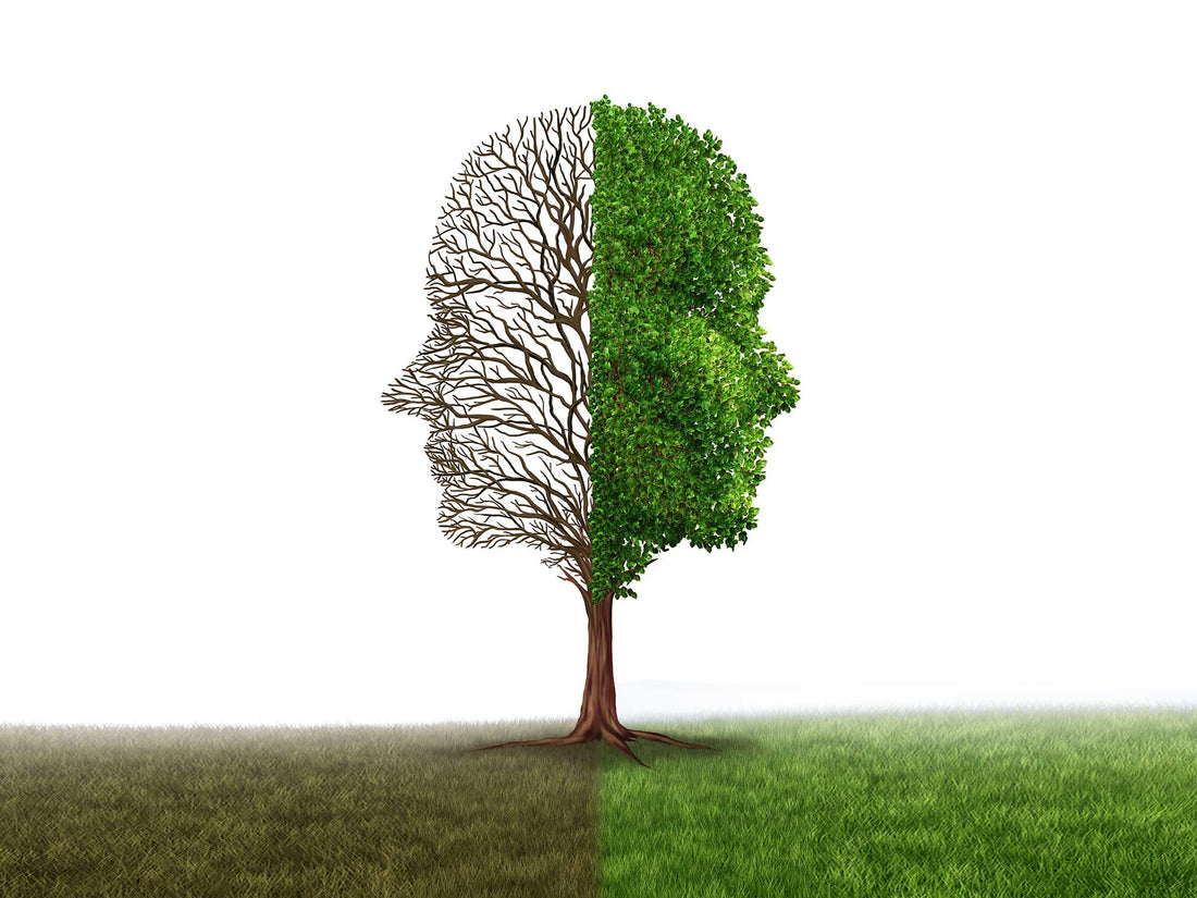 Is Intellectual Maturity the Best Measure of Adulthood?